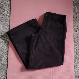 American Eagle Low Rise Baggy Wide Leg Pant